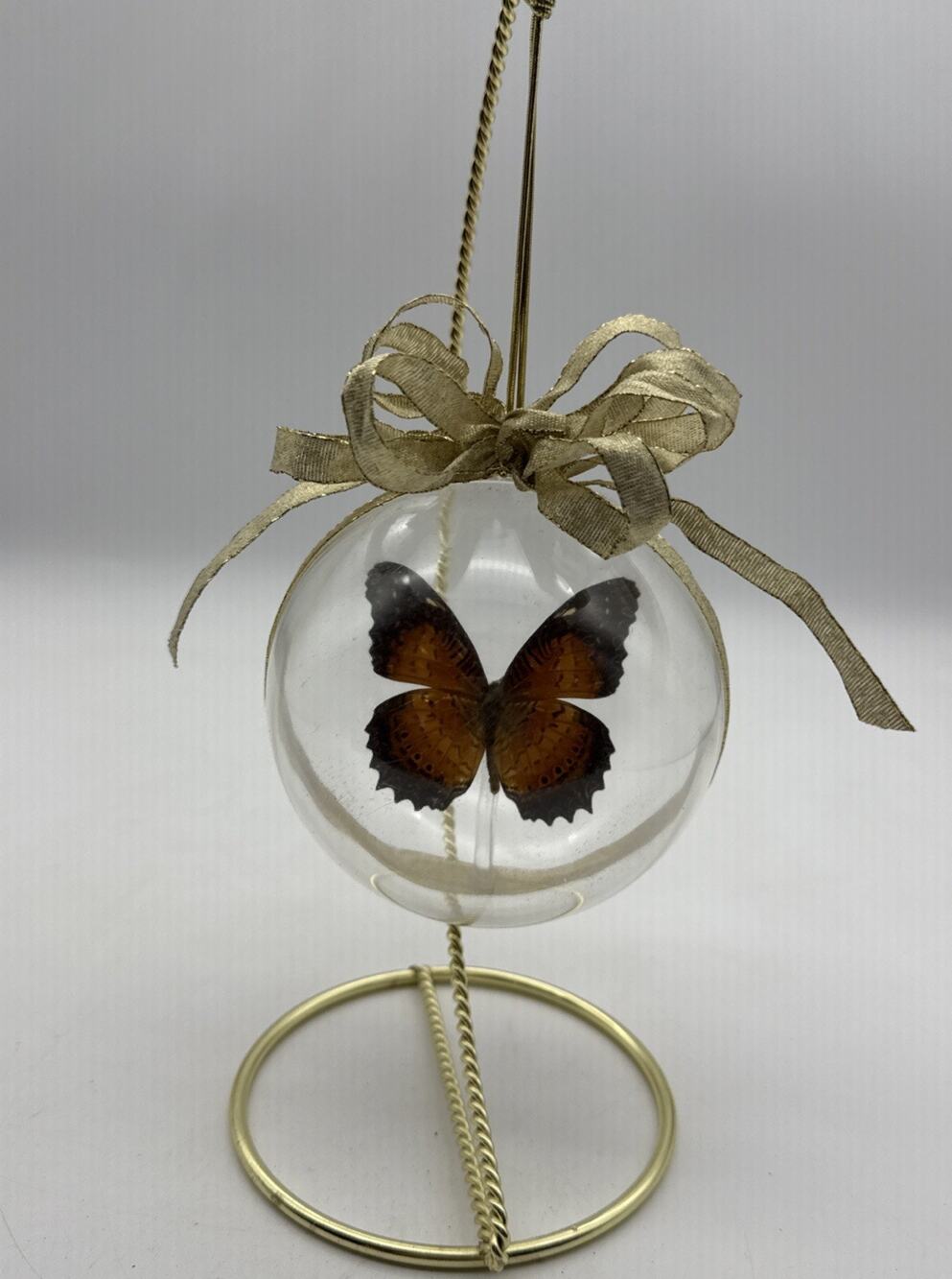Cethosia biblis Taxidermy Butterfly Plastic Ball CHRISTMAS ORNAMENT